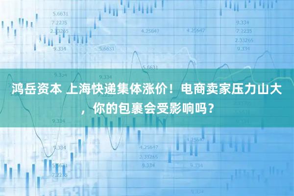 鸿岳资本 上海快递集体涨价！电商卖家压力山大，你的包裹会受影响吗？